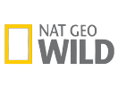 TV Programm NGW TV Programm NGW