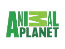 TV Programm Animal TV Programm Animal